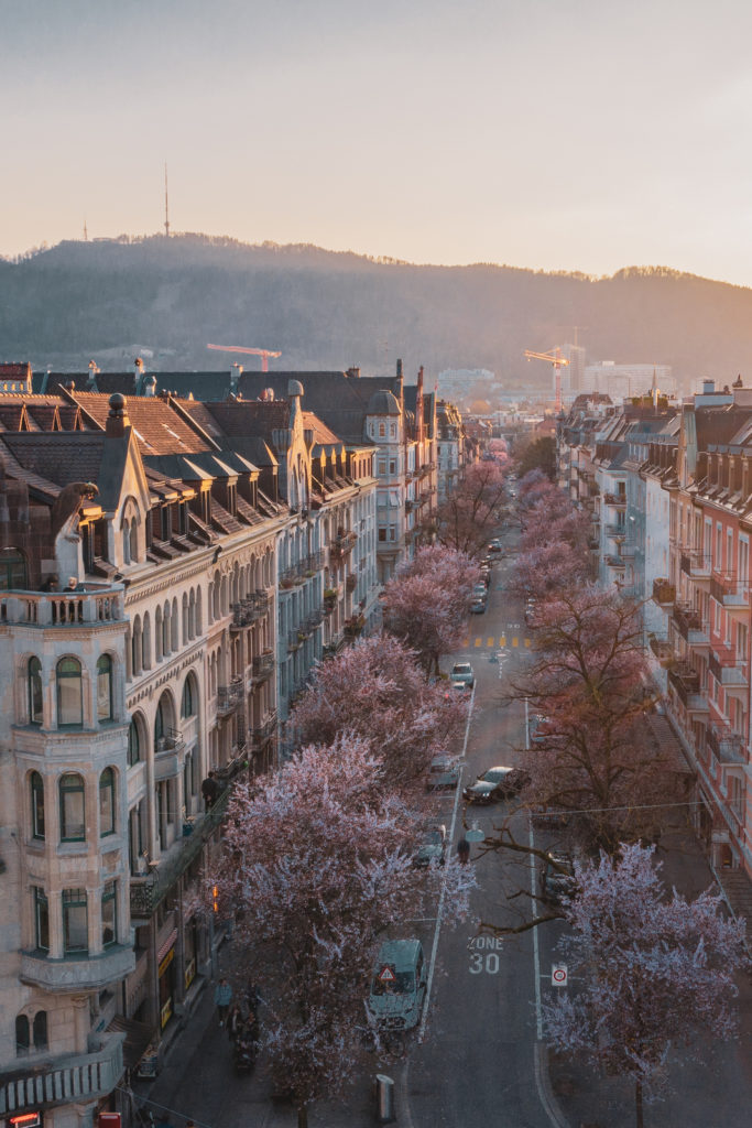 Zürich Bertrastrasse im Frühling